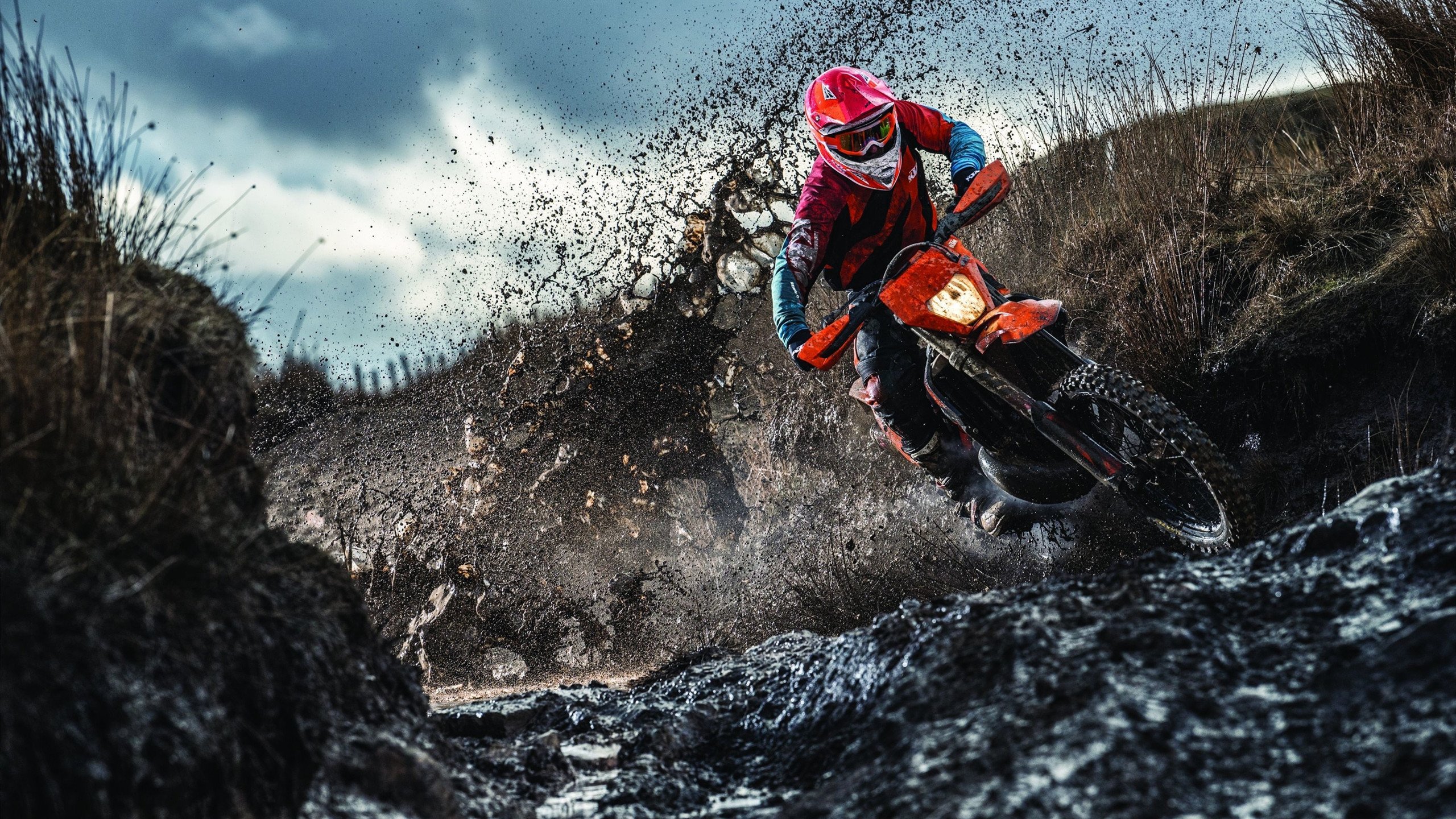 张本智和状态火爆，分区决赛八强战对阵达拉斯独行侠，利雅得新月力争连败